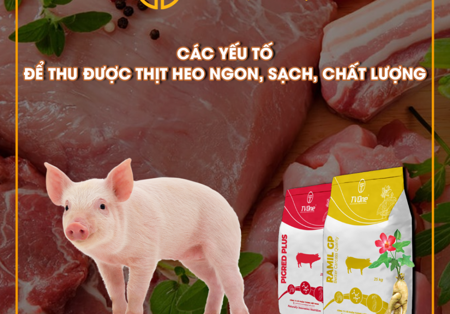 Factors related to obtain best pork quality